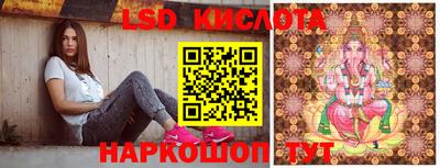 бошки Владимир
